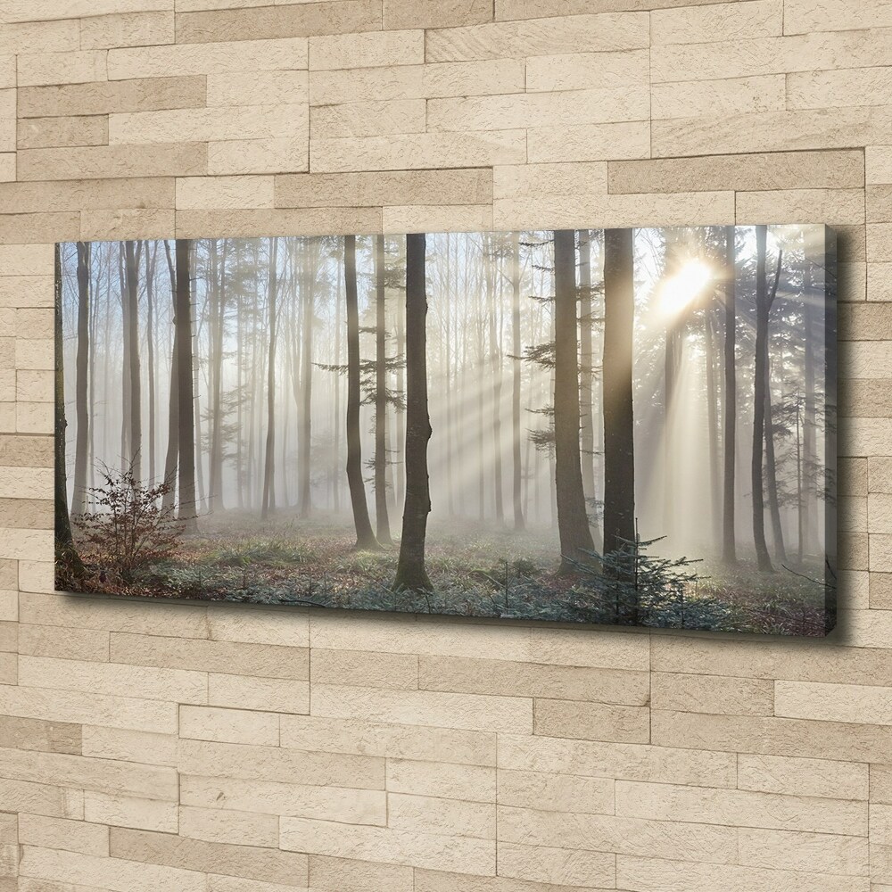 Tableau toile imprimée Le brouillard dans la forêt