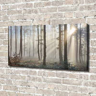 Tableau toile imprimée Le brouillard dans la forêt