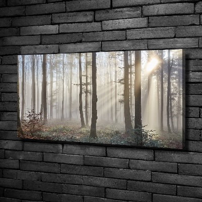 Tableau toile imprimée Le brouillard dans la forêt