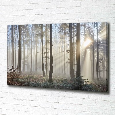 Tableau toile imprimée Le brouillard dans la forêt