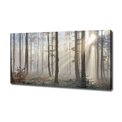 Tableau toile imprimée Le brouillard dans la forêt