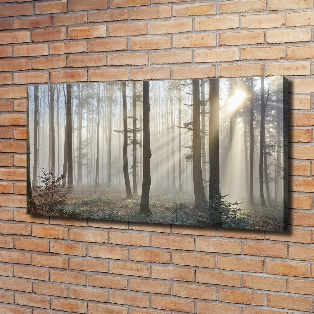 Tableau toile imprimée Le brouillard dans la forêt