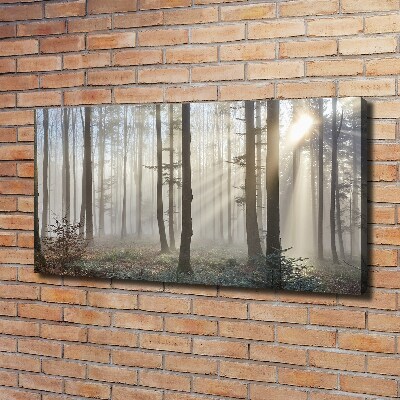 Tableau toile imprimée Le brouillard dans la forêt