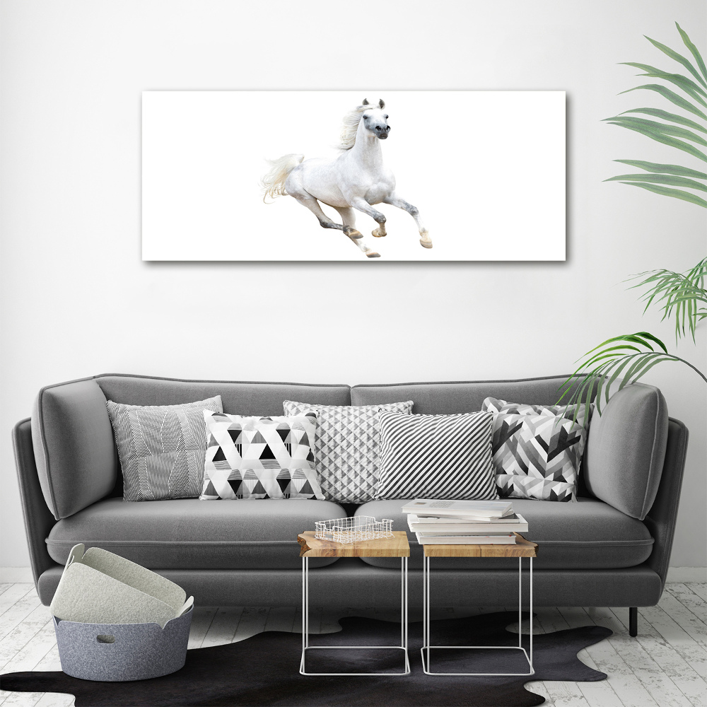 Tableau sur toile Cheval arabe blanc