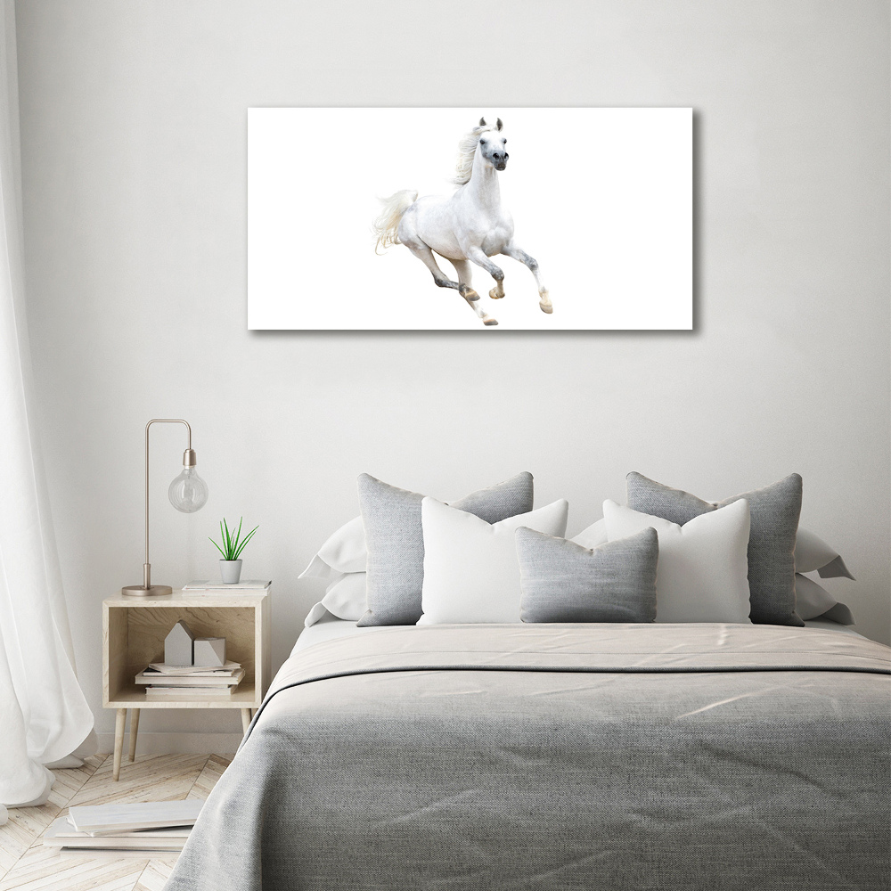 Tableau sur toile Cheval arabe blanc