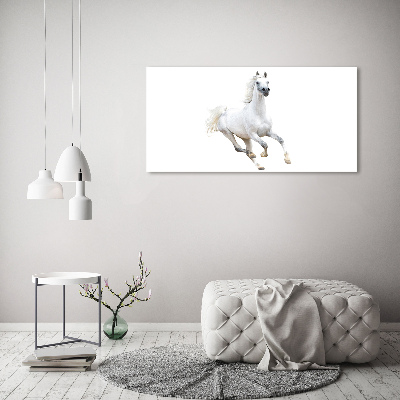 Tableau sur toile Cheval arabe blanc