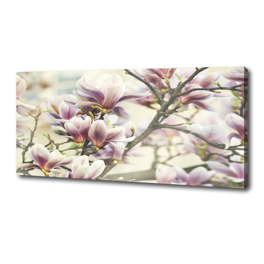 Tableau sur toile Magnolia