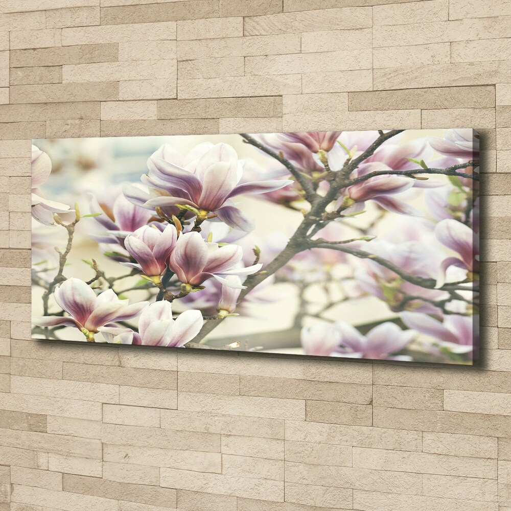 Tableau sur toile Magnolia