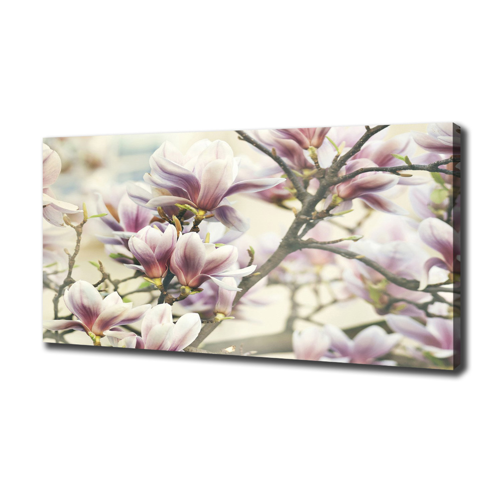 Tableau sur toile Magnolia