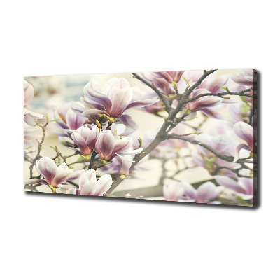 Tableau sur toile Magnolia