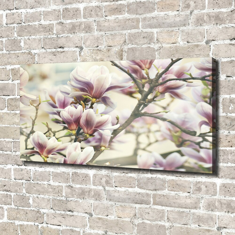 Tableau sur toile Magnolia