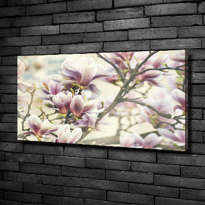 Tableau sur toile Magnolia