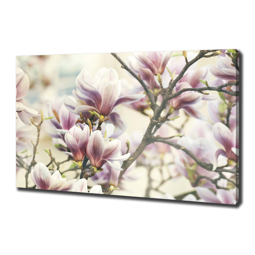 Tableau sur toile Magnolia