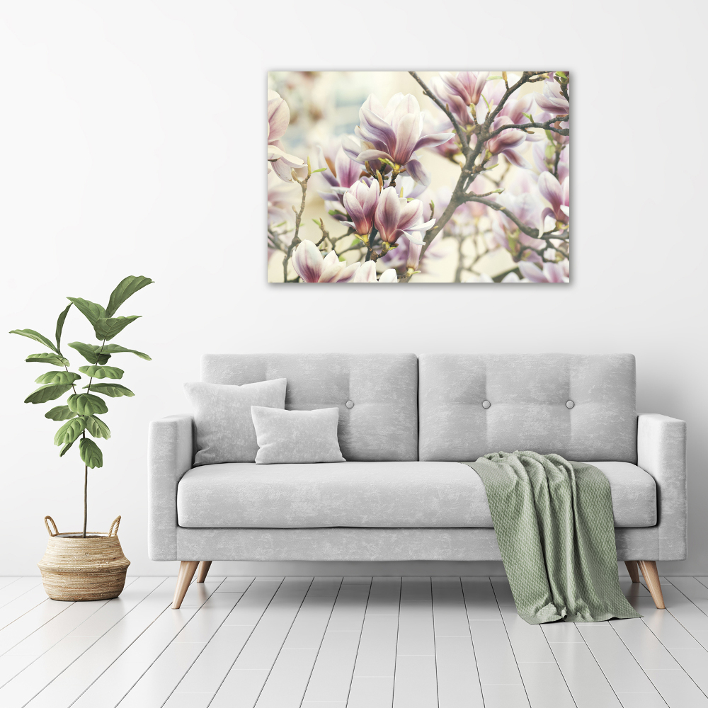 Tableau sur toile Magnolia