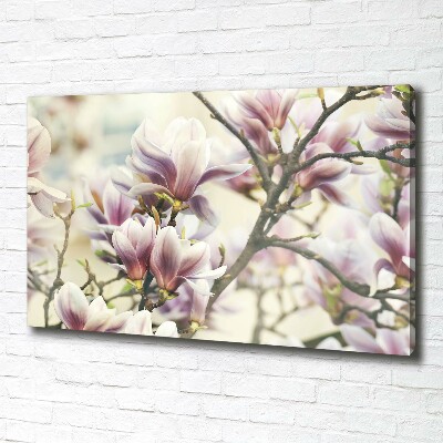 Tableau sur toile Magnolia