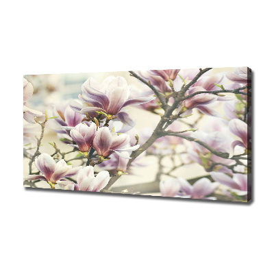 Tableau sur toile Magnolia