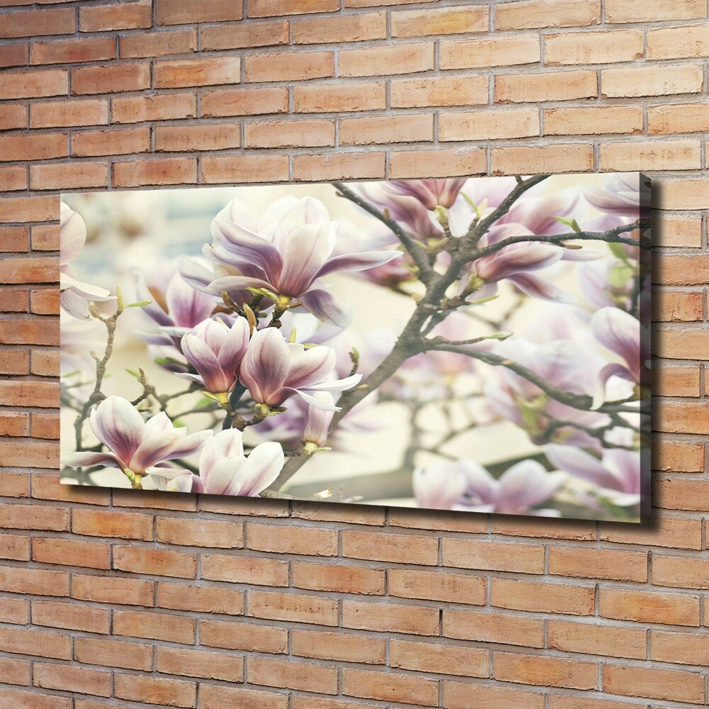 Tableau sur toile Magnolia