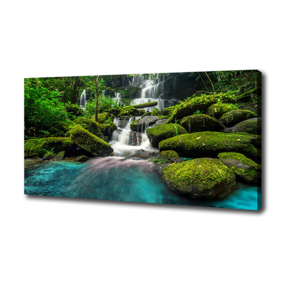 Tableau photo sur toile Chute d'eau dans la jungle