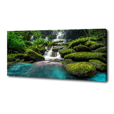 Tableau photo sur toile Chute d'eau dans la jungle