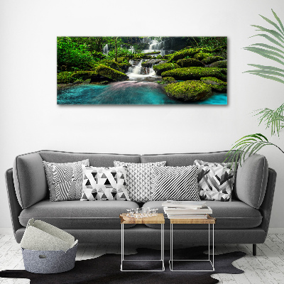 Tableau photo sur toile Chute d'eau dans la jungle