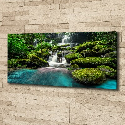 Tableau photo sur toile Chute d'eau dans la jungle