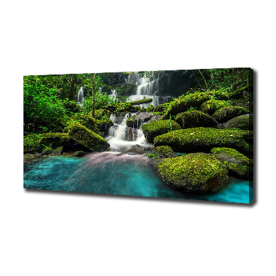 Tableau photo sur toile Chute d'eau dans la jungle