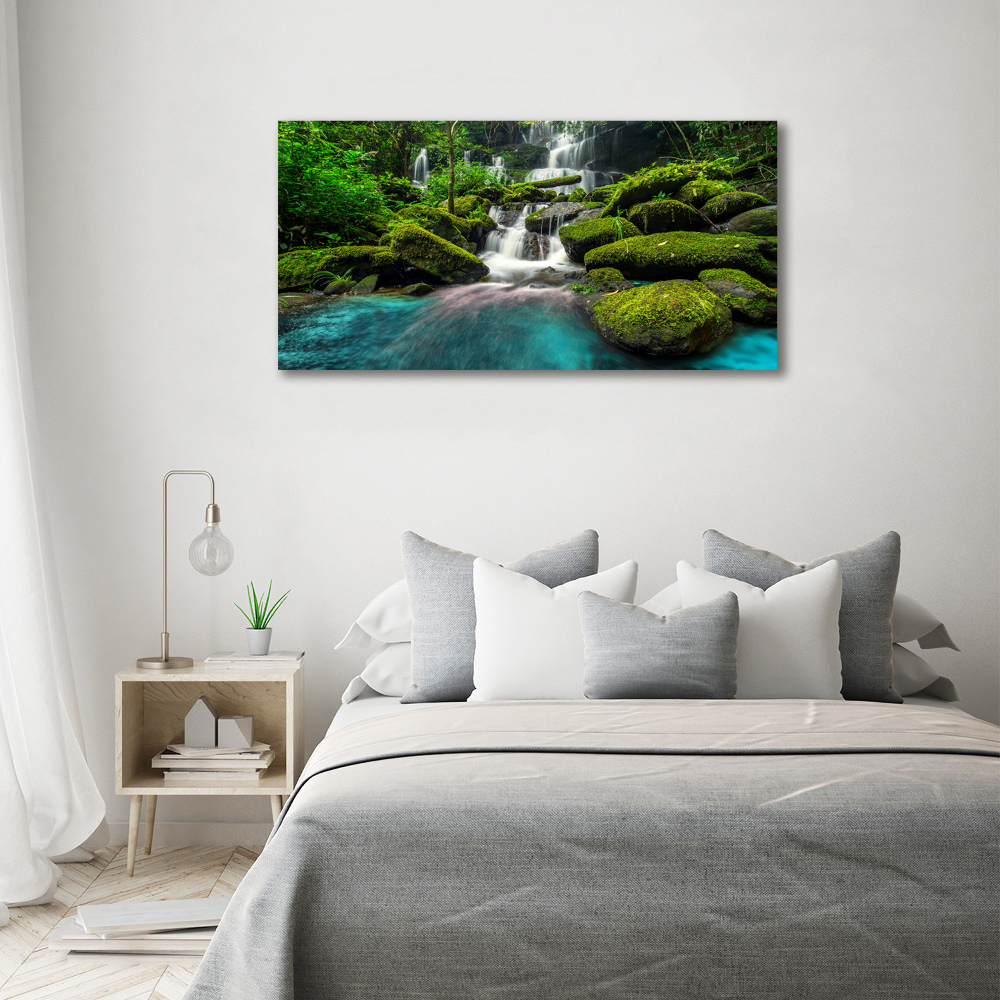 Tableau photo sur toile Chute d'eau dans la jungle