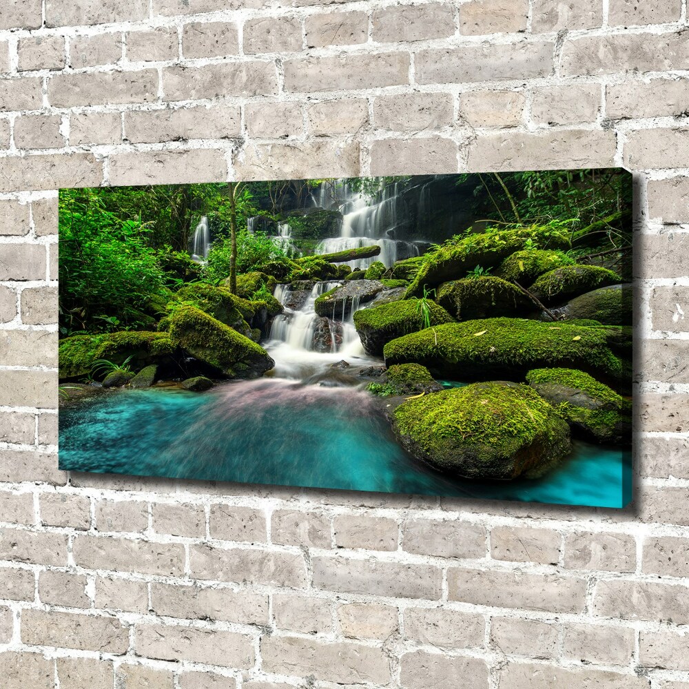 Tableau photo sur toile Chute d'eau dans la jungle