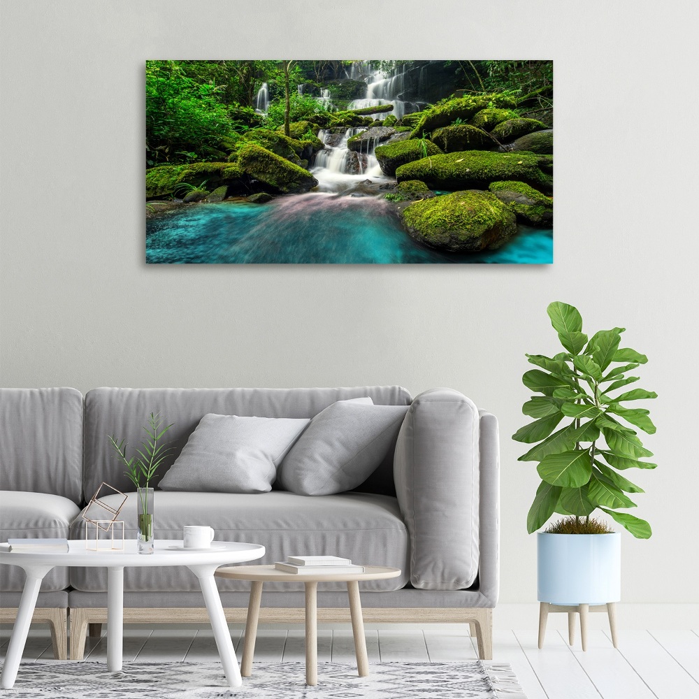 Tableau photo sur toile Chute d'eau dans la jungle