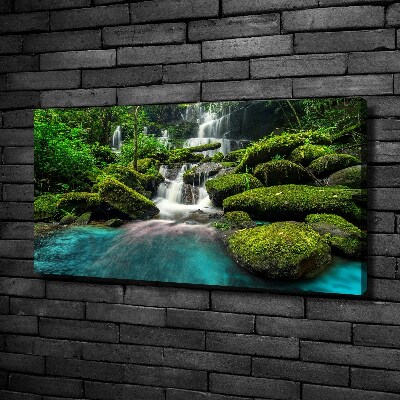 Tableau photo sur toile Chute d'eau dans la jungle