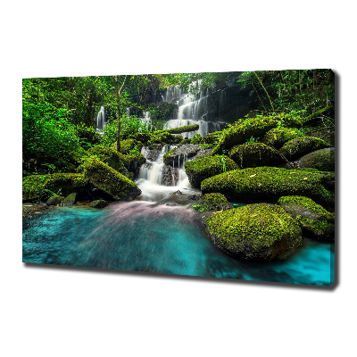 Tableau photo sur toile Chute d'eau dans la jungle