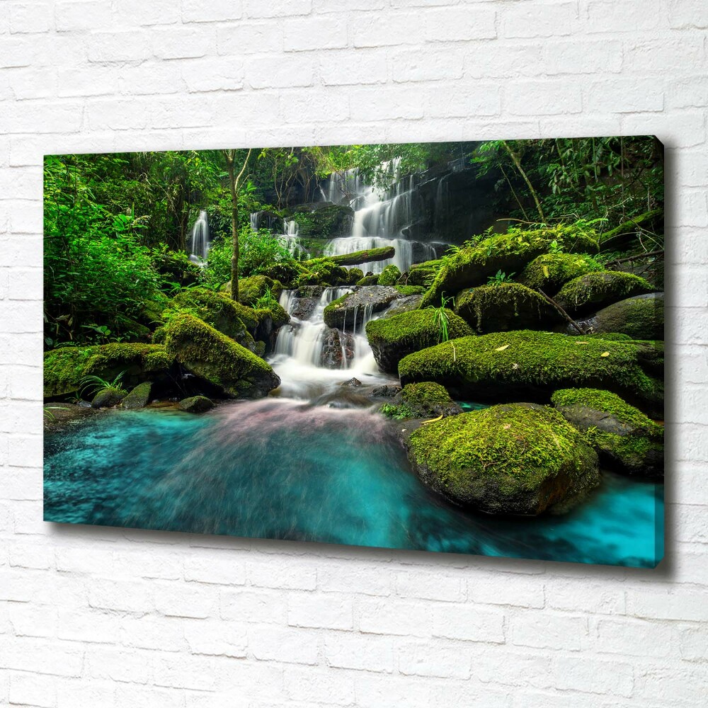 Tableau photo sur toile Chute d'eau dans la jungle