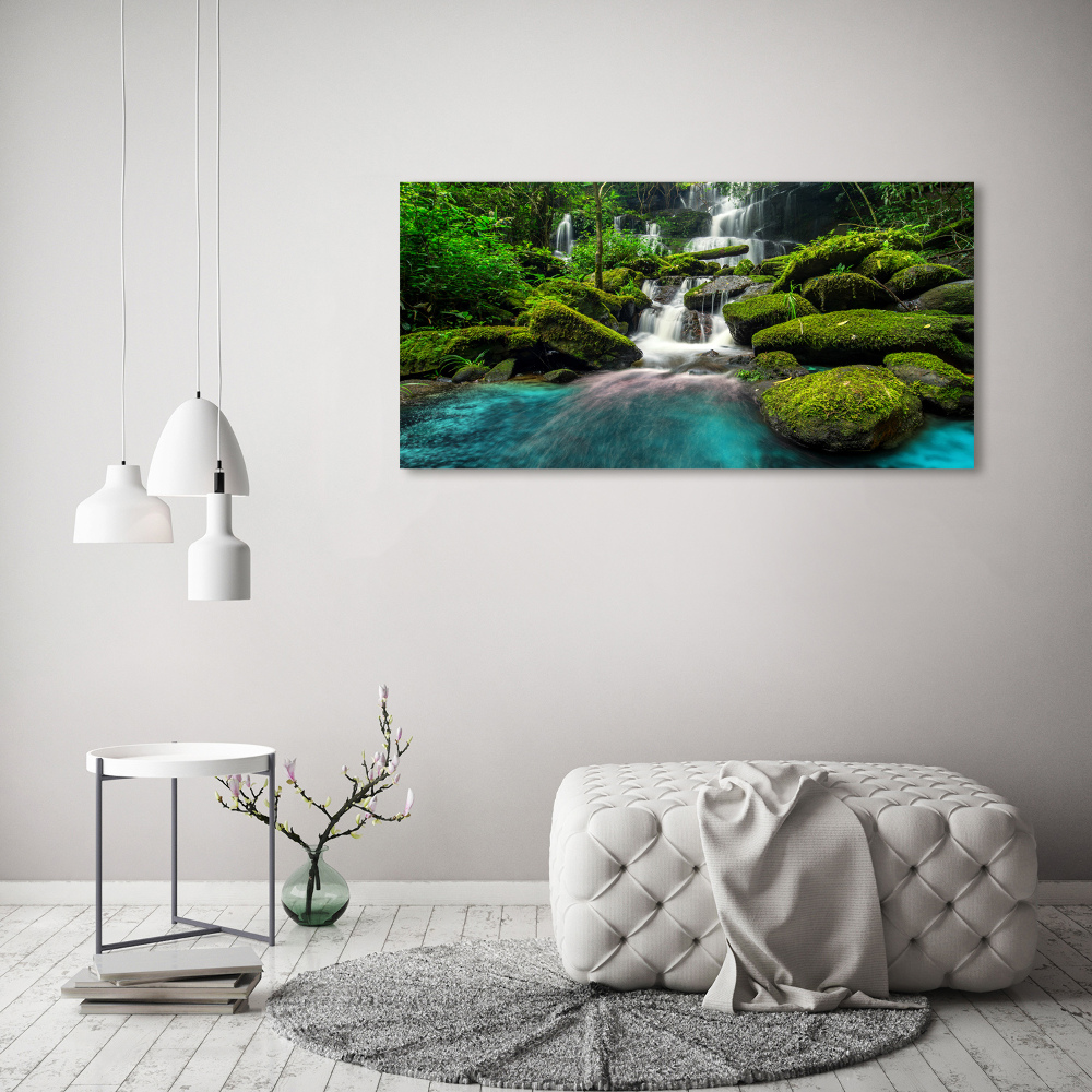 Tableau photo sur toile Chute d'eau dans la jungle