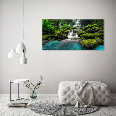 Tableau photo sur toile Chute d'eau dans la jungle