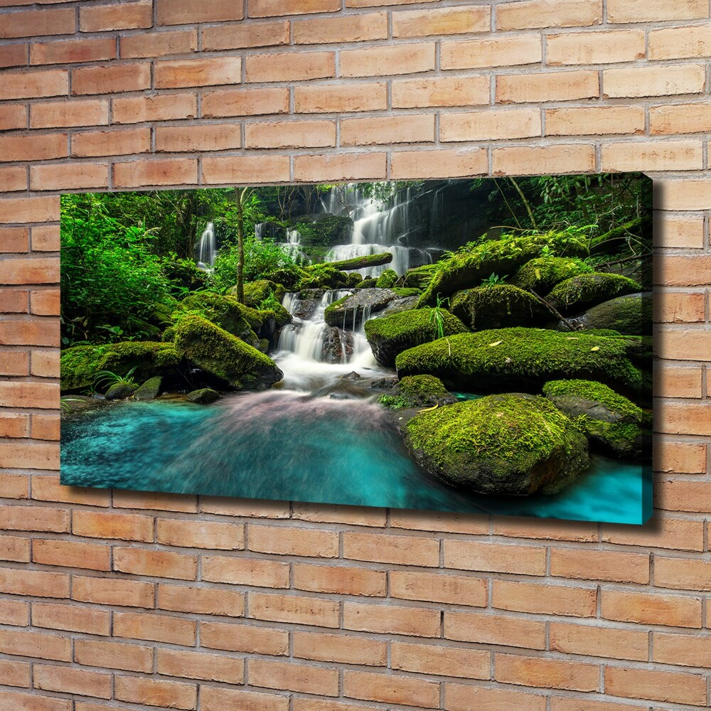 Tableau photo sur toile Chute d'eau dans la jungle