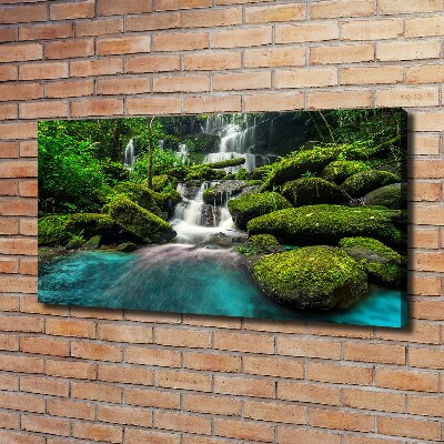 Tableau photo sur toile Chute d'eau dans la jungle