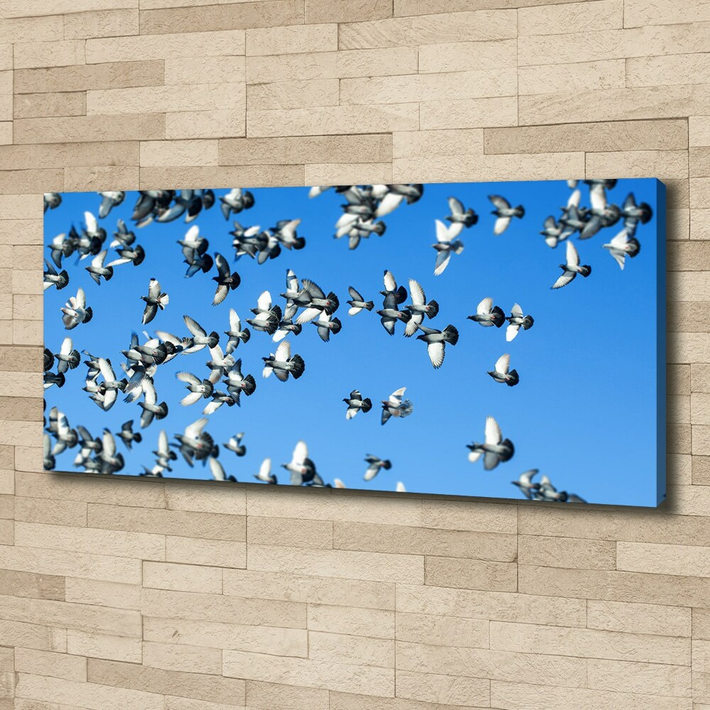 Tableau toile imprimée Troupeau de pigeons