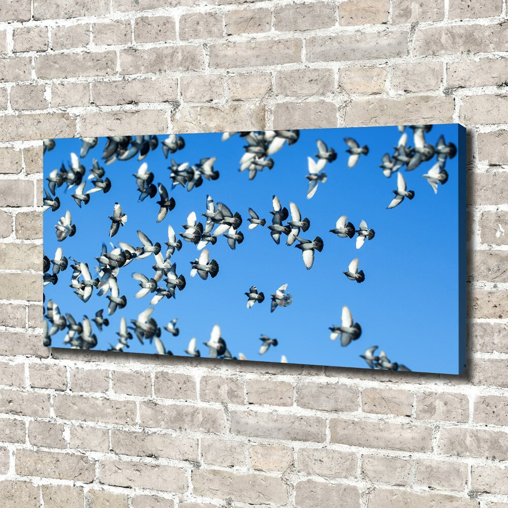 Tableau toile imprimée Troupeau de pigeons