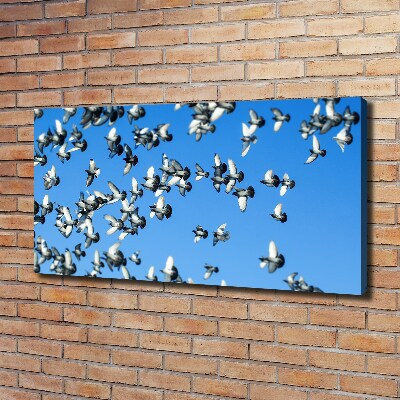 Tableau toile imprimée Troupeau de pigeons