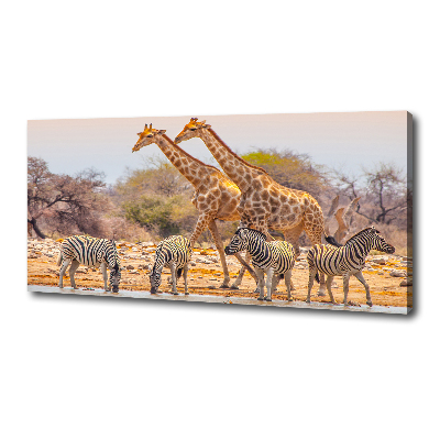 Tableau mural sur toile Girafes et zèbres