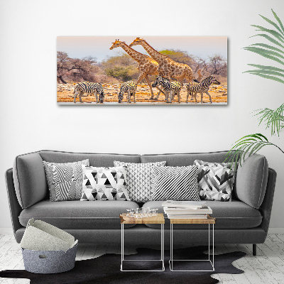 Tableau mural sur toile Girafes et zèbres