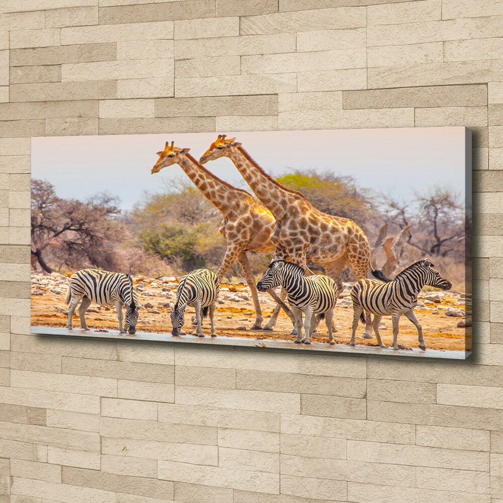 Tableau mural sur toile Girafes et zèbres