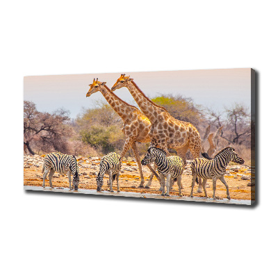 Tableau mural sur toile Girafes et zèbres