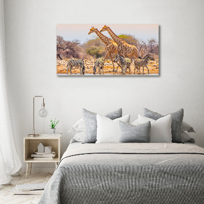 Tableau mural sur toile Girafes et zèbres