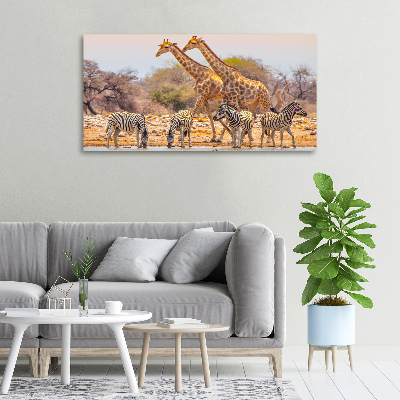 Tableau mural sur toile Girafes et zèbres