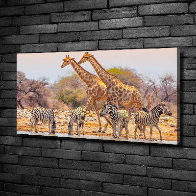 Tableau mural sur toile Girafes et zèbres