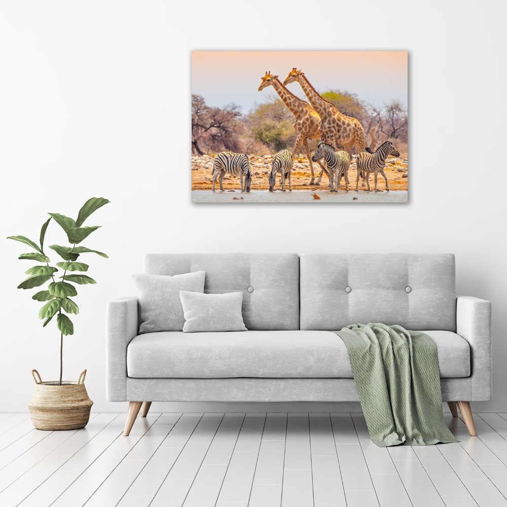 Tableau mural sur toile Girafes et zèbres