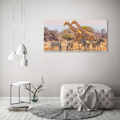 Tableau mural sur toile Girafes et zèbres