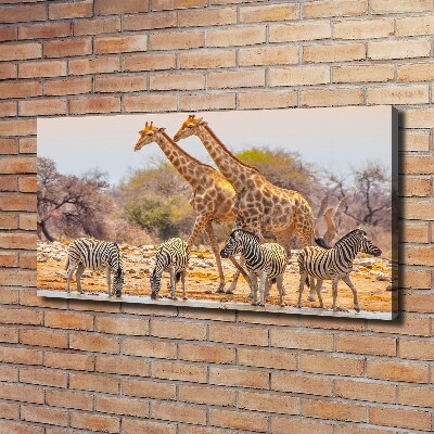 Tableau mural sur toile Girafes et zèbres