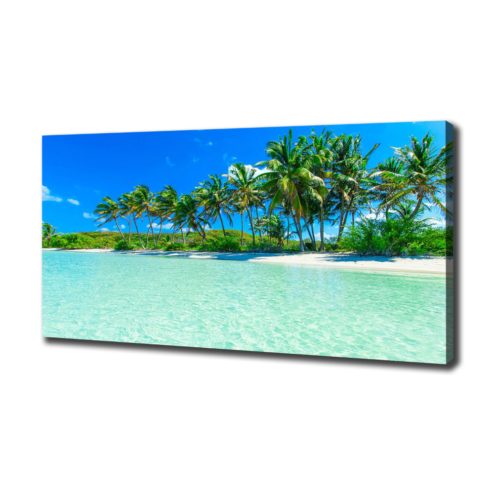 Tableau sur toile Plage exotique eau bleue